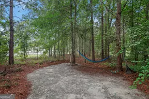 232 Tavern Ln, Statesboro, GA 30458 - Photo 37