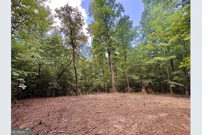 2 Roy Lawrence Road, Sparta, GA 31087 - Photo 5
