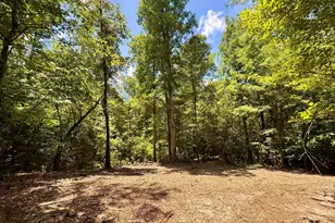 2 Roy Lawrence Rd, Sparta, GA 31087 - Photo 1