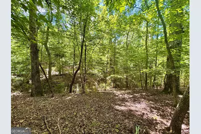 2 Roy Lawrence Road, Sparta, GA 31087 - Photo 7