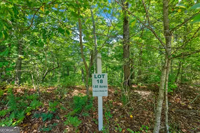 0 Flat Rock Point, Dahlonega, GA 30533 - Photo 7