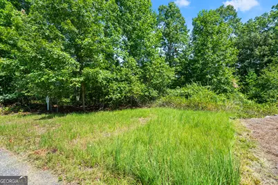 0 Flat Rock Point, Dahlonega, GA 30533 - Photo 3