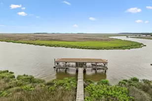 423 Mimosa Dr, Saint Simons, GA 31522 - Photo 3