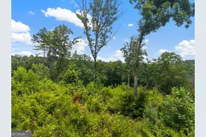 Lot 84 Jakes Landing Way, Ellijay, GA 30540 - Photo 9