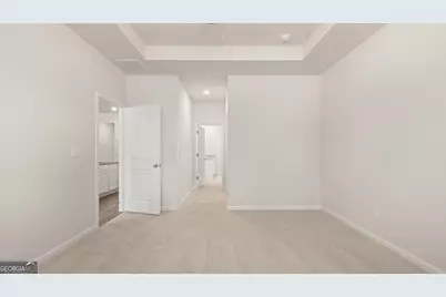 162 White Spruce Way, Newnan, GA 30265 - Photo 25