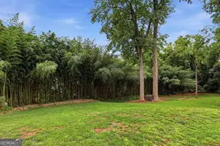 407 Cedar Ave, Demorest, GA 30535 - Photo 35