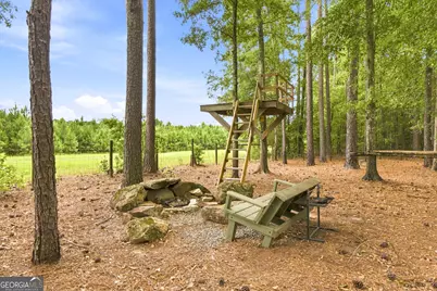 701 Ward Road, Williamson, GA 30292 - Photo 45