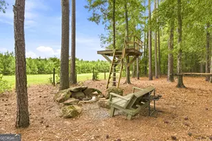 701 Ward Rd, Williamson, GA 30292 - Photo 45