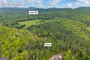 435 Dogwood Way, Blue Ridge, GA 30513 - Photo 69