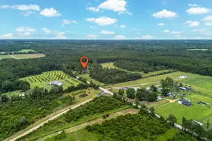 5486 Bowen Rd, Blackshear, GA 31516 - Photo 47
