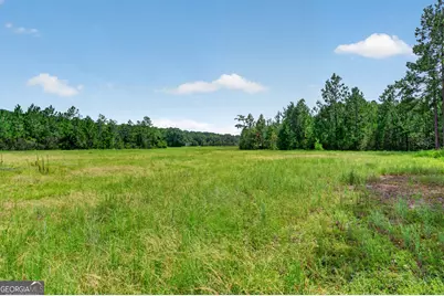 5486 Bowen Road, Blackshear, GA 31516 - Photo 49