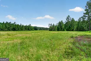 5486 Bowen Rd, Blackshear, GA 31516 - Photo 49