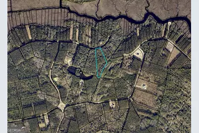 Lot 88 La Sole Lane, Waverly, GA 31565 - Photo 3