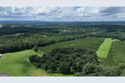 Lot 1 Stateline Road, Bowdon, GA 30108 - Photo 9