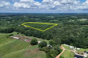 Lot 1 Stateline Rd, Bowdon, GA 30108 - Photo 1