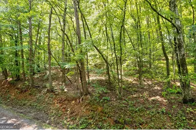 0 Shady Lane, Mineral Bluff, GA 30559 - Photo 5