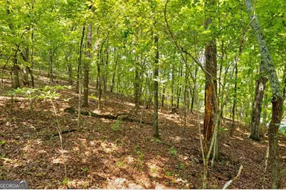 0 Shady Lane, Mineral Bluff, GA 30559 - Photo 11