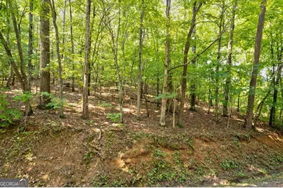 0 Shady Lane, Mineral Bluff, GA 30559 - Photo 15