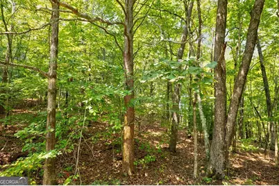 0 Shady Lane, Mineral Bluff, GA 30559 - Photo 13