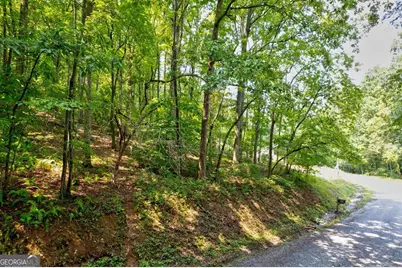 0 Shady Lane, Mineral Bluff, GA 30559 - Photo 7
