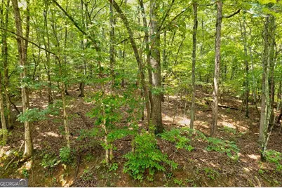 0 Shady Lane, Mineral Bluff, GA 30559 - Photo 9