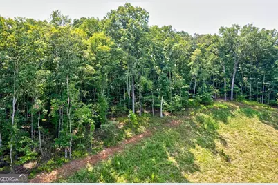 0 Shady Lane, Mineral Bluff, GA 30559 - Photo 3