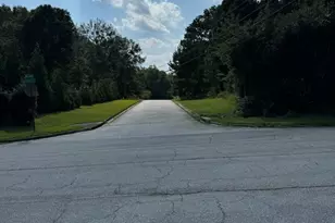 0 Cape Charles Ave, Hampton, GA 30228 - Photo 1