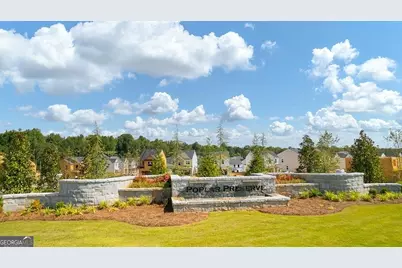 163 White Spruce Way, Newnan, GA 30265 - Photo 3