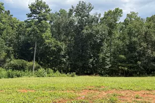 681 Pine Grove Church Rd, Culloden, GA 31016 - Photo 5
