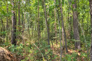 504 Old McElveen Rd, Brooklet, GA 30415 - Photo 23