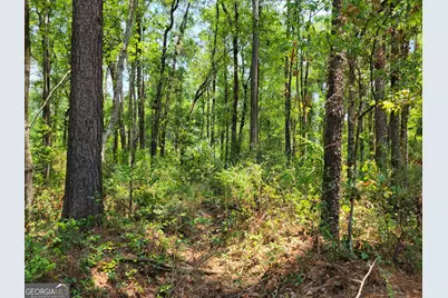 504 Old McElveen Road, Brooklet, GA 30415 - Photo 29