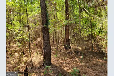 504 Old McElveen Road, Brooklet, GA 30415 - Photo 21