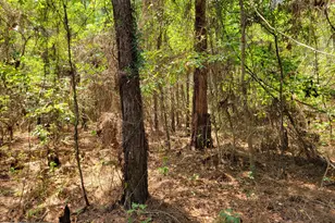 504 Old McElveen Rd, Brooklet, GA 30415 - Photo 21
