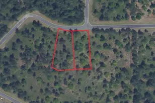 200 Big Horse Dr, Waynesville, GA 31566 - Photo 1