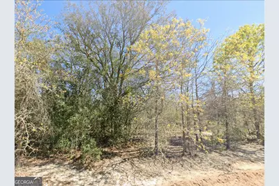 0 Mixon Lane, Douglas, GA 31535 - Photo 3
