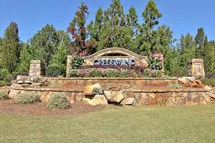 525 Hazelnut Dr, Peachtree City, GA 30269 - Photo 61