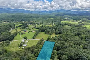 1201 Owltown Rd, Blairsville, GA 30512 - Photo 49