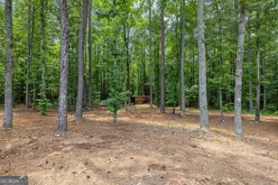 359 Trammell Rd, Moreland, GA 30259 - Photo 107