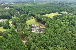 359 Trammell Rd, Moreland, GA 30259 - Photo 113