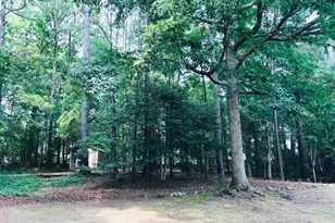 622 Shady Willow Ln, Loganville, GA 30052 - Photo 29