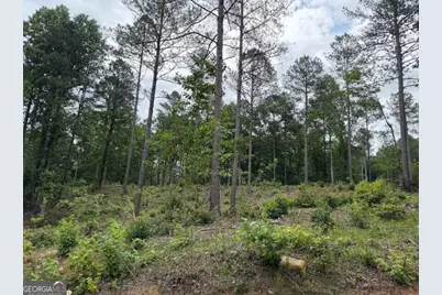 0 Mt. Sinai #LOT 9, Lula, GA 30554 - Photo 57