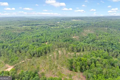 0 Mt. Sinai #LOT 9, Lula, GA 30554 - Photo 41