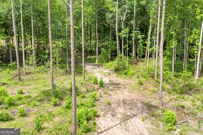 0 Mt. Sinai #LOT 9, Lula, GA 30554 - Photo 33