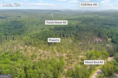 0 Mt. Sinai #LOT 9, Lula, GA 30554 - Photo 3