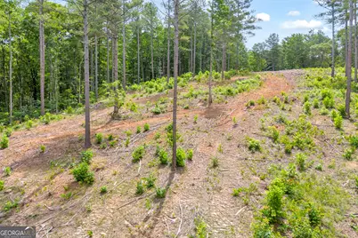 0 Mt. Sinai #LOT 9, Lula, GA 30554 - Photo 35