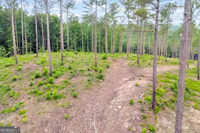 0 Mt. Sinai #LOT 9, Lula, GA 30554 - Photo 25