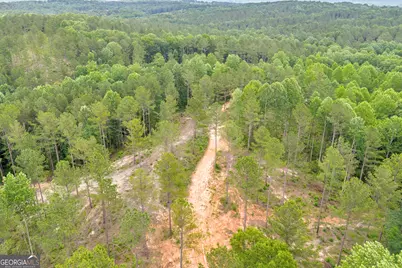 0 Mt. Sinai #LOT 9, Lula, GA 30554 - Photo 31