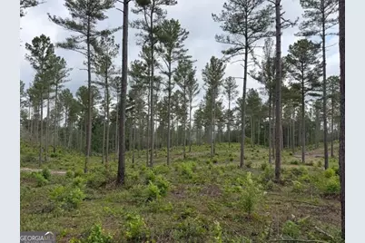 0 Mt. Sinai #LOT 9, Lula, GA 30554 - Photo 45