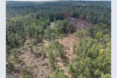 0 Highway 57, Mcintyre, GA 31054 - Photo 13