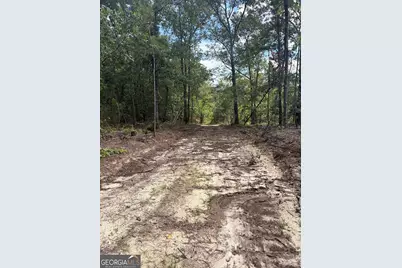 0 Highway 57, Mcintyre, GA 31054 - Photo 19